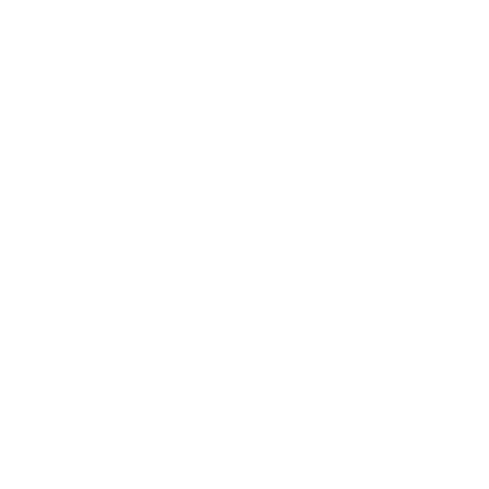 Essential Energy logo on a transparent backdrop.